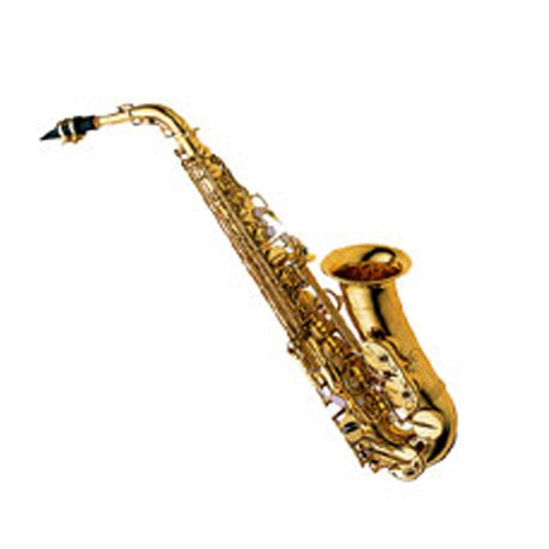 Yanagisawa / A-991