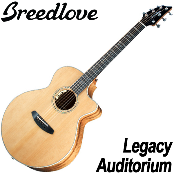 브리드러브 Breedlove 통기타 레거시 오디토리엄