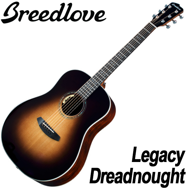 브리드러브 Breedlove 통기타 레거시 드레드넛