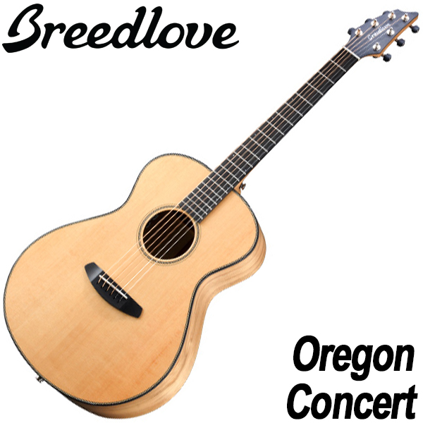 브리드러브 Breedlove 통기타 오리곤 콘서트