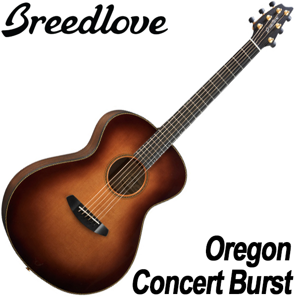 브리드러브 Breedlove 통기타 오리곤 콘서트 버스트