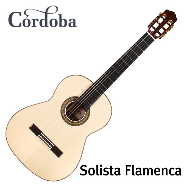 코르도바 Cordoba 플라멩코 기타 Solista Flamenca