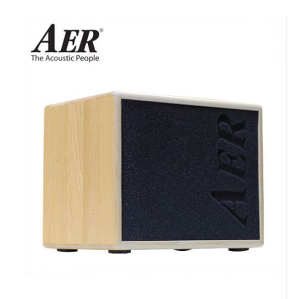 AER 어쿠스틱 앰프 Compact 60/3 60w 컴팩트 ONT 오크