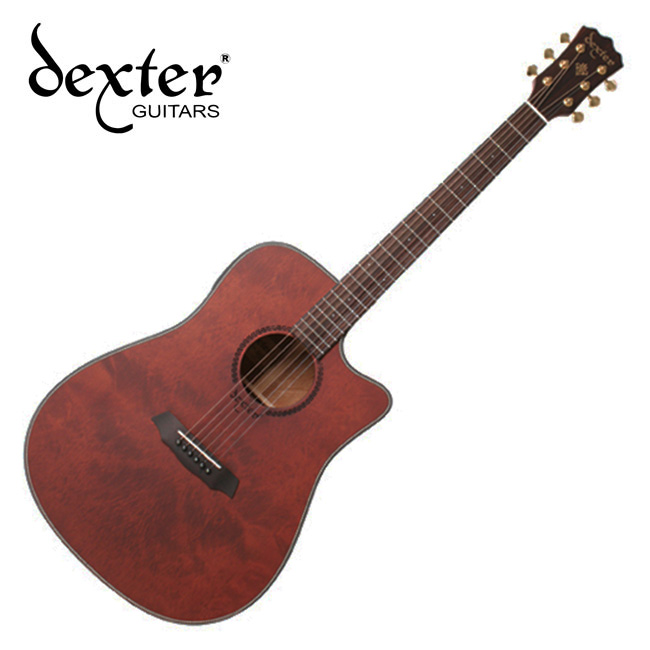 덱스터 Dexter 어쿠스틱기타 DELUXE CUSTOM CEQ