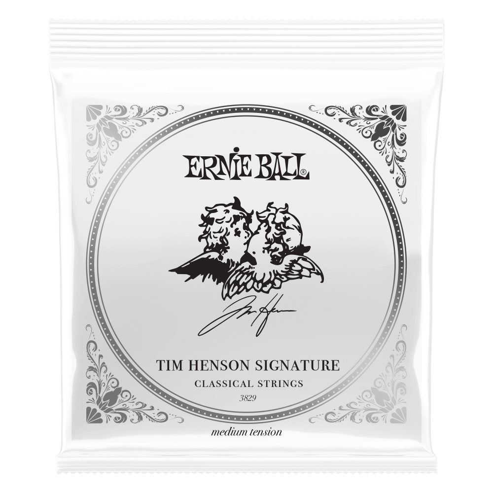 ERNIE BALL