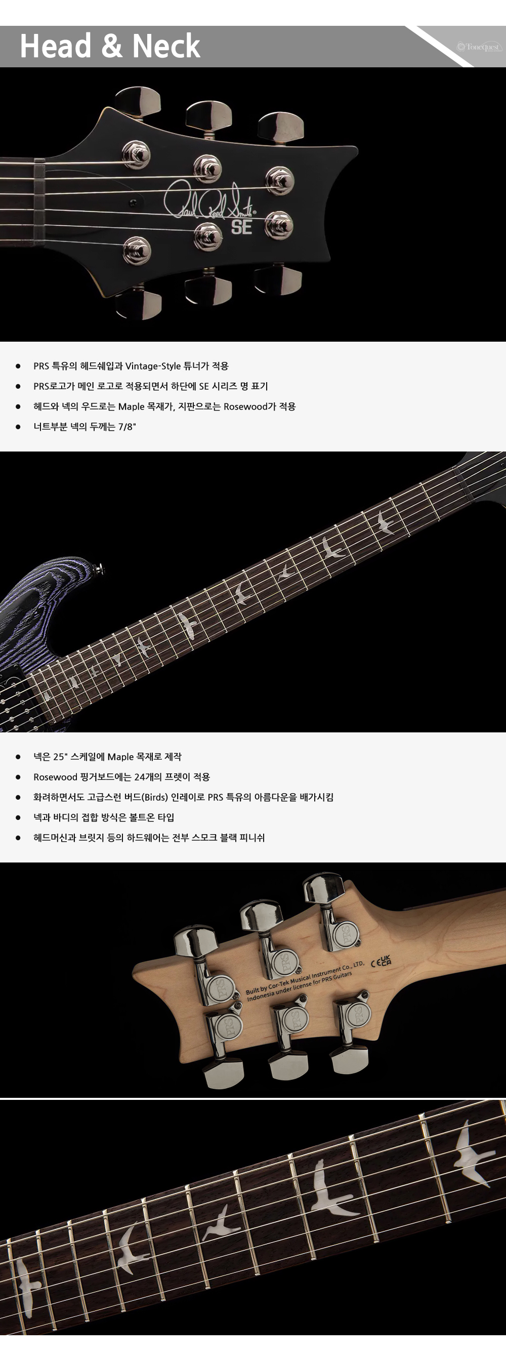 PRS-SE-2024-CE24-SwampAsh_2.jpg