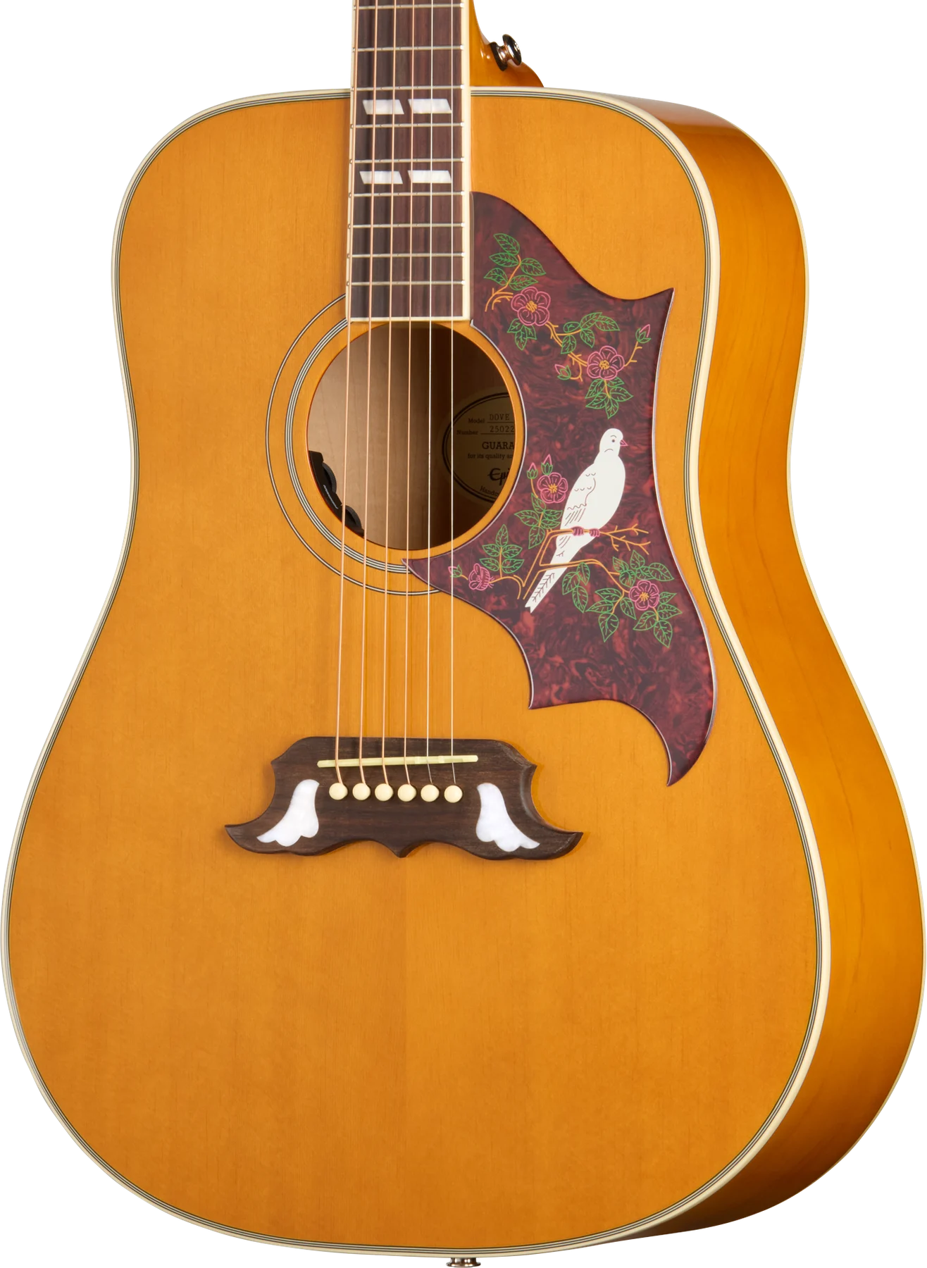 Epiphone Dove Studio, Natural (EASDVANNH1) 바디