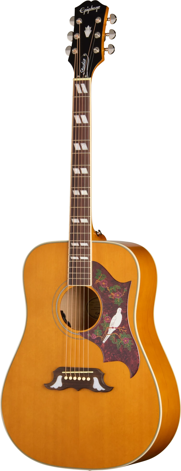 Epiphone Dove Studio, Natural (EASDVANNH1) 정면