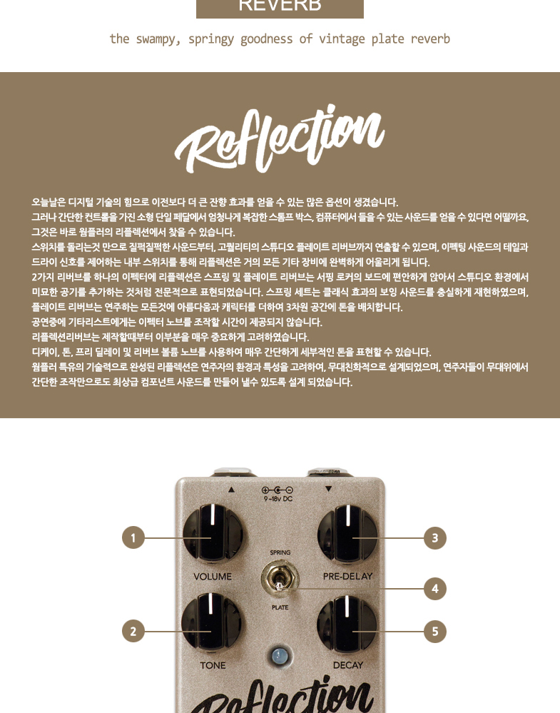 Reflection_02.jpg