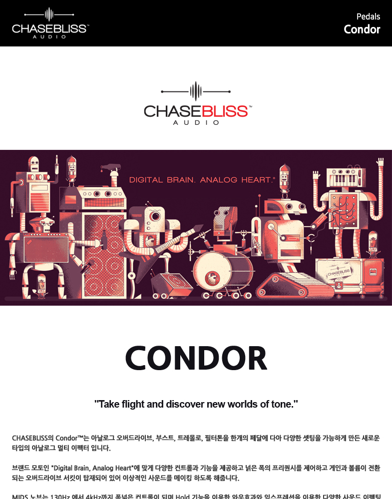 Condor_01.jpg