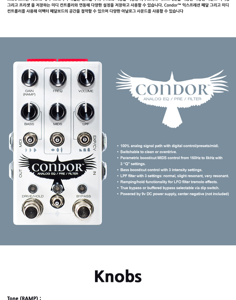 Condor_02.jpg