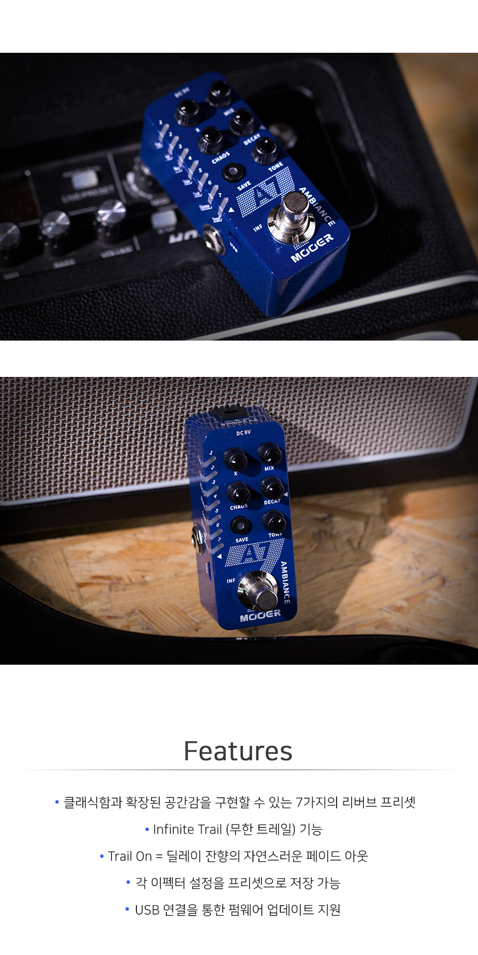 img_A7Reverb_05 (1).jpg