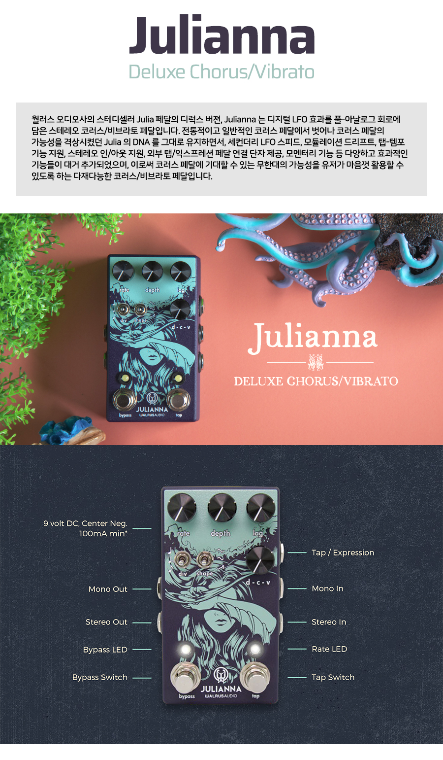 Walrus_Julianna_02.jpg