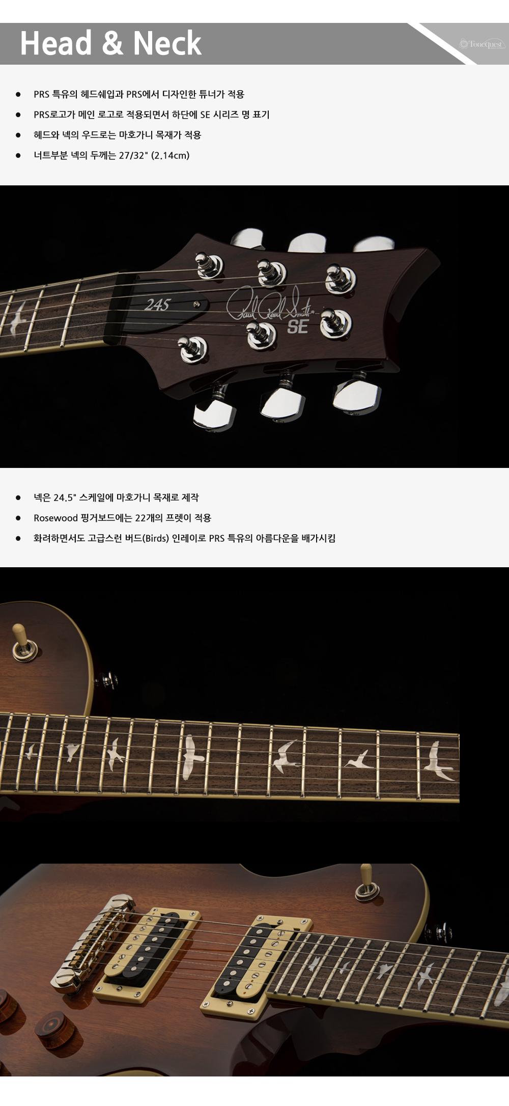PRS2021-SE-Standard245-All_2.jpg