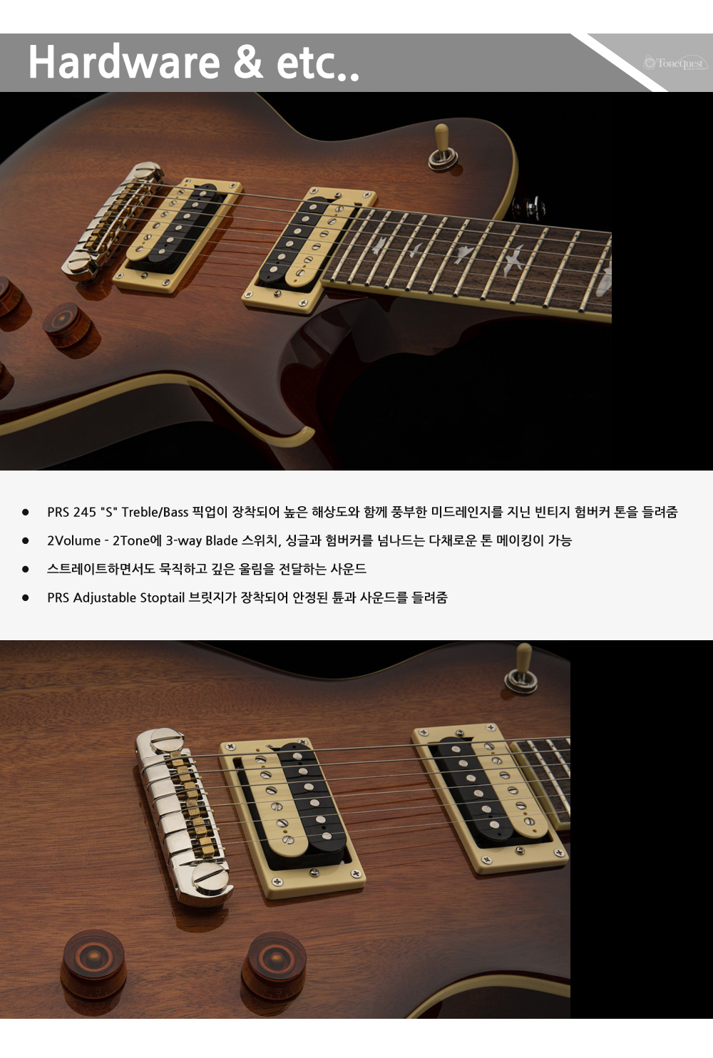 PRS2021-SE-Standard245-All_4.jpg