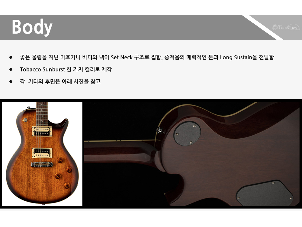 PRS2021-SE-Standard245-All_3.jpg