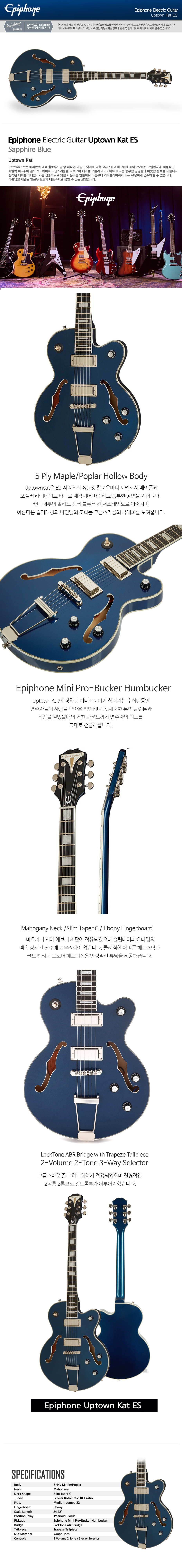 Epiphone-Uptownkat_01.jpg