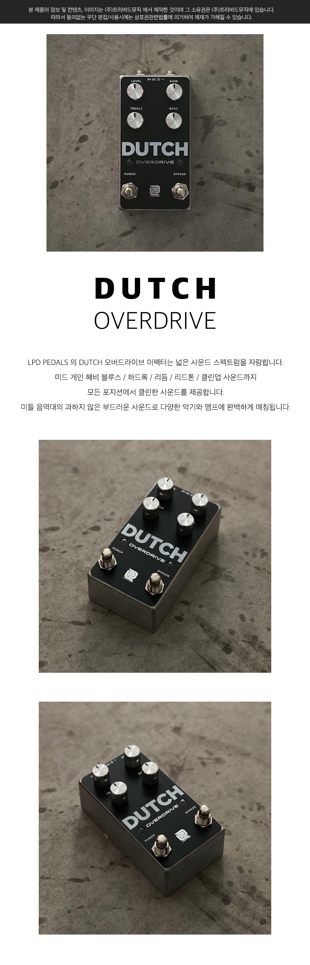 더치인포.jpg