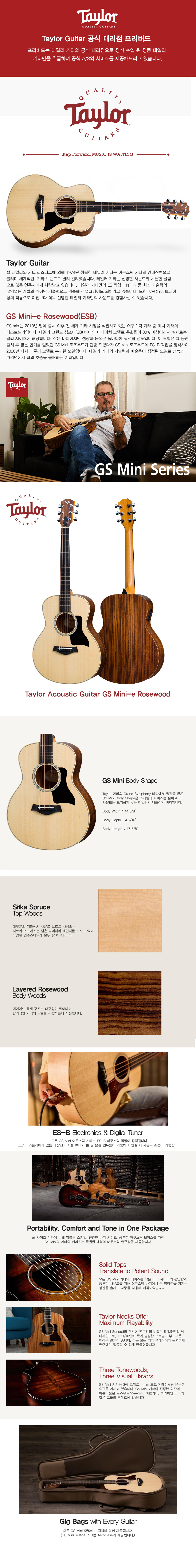 테일러-GS-MINI-e-Rosewood-설명-가이드-완성_01.jpg