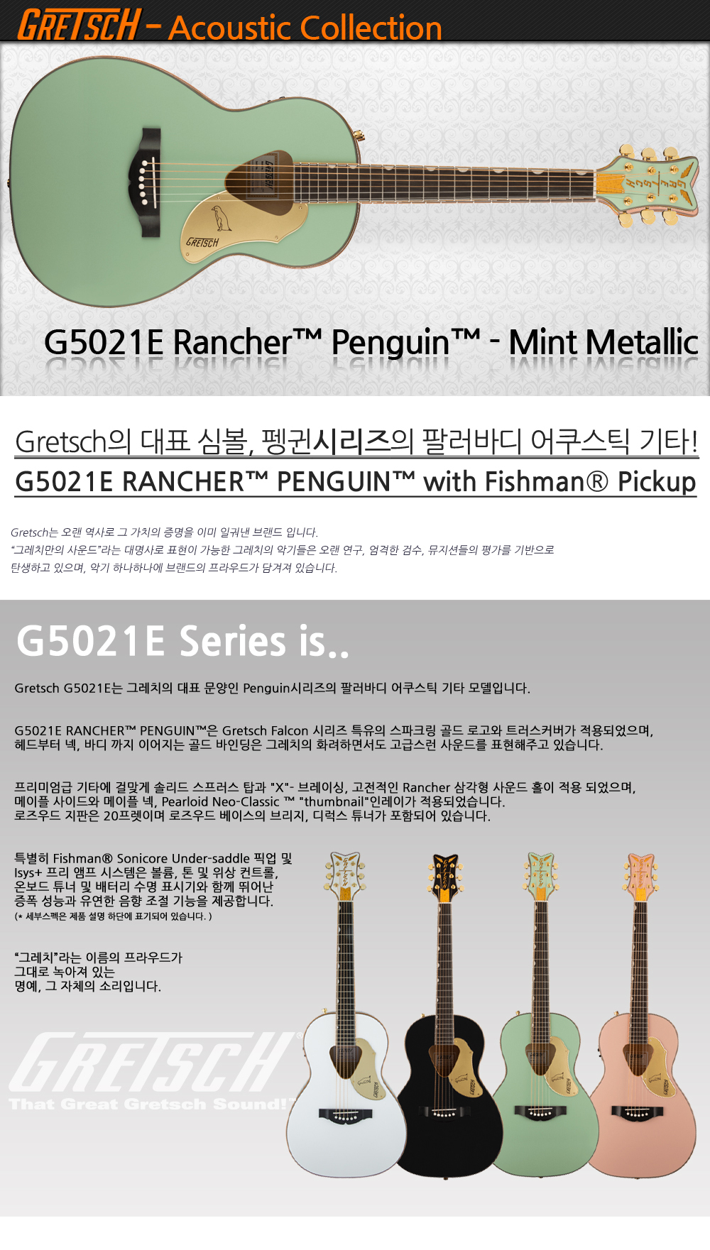 Gretsch-G5021-Penguin-MintMetallic_1.jpg