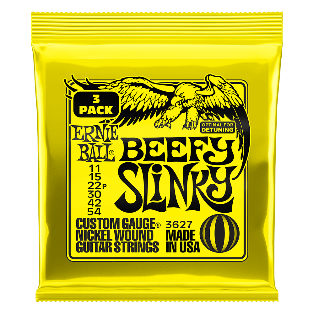 어니볼 Nickel Wound Electric Slinky 앞면