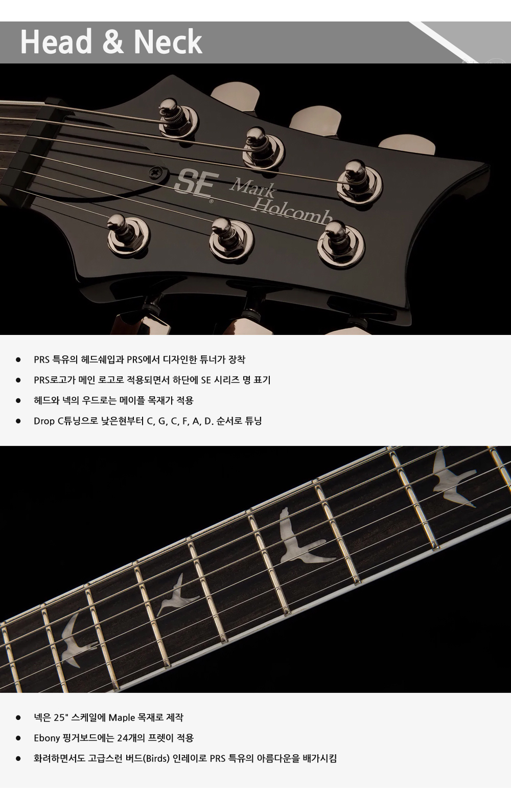 PRS2023-SE-Mark Holcomb-HolcombBlueBurst_2.jpg