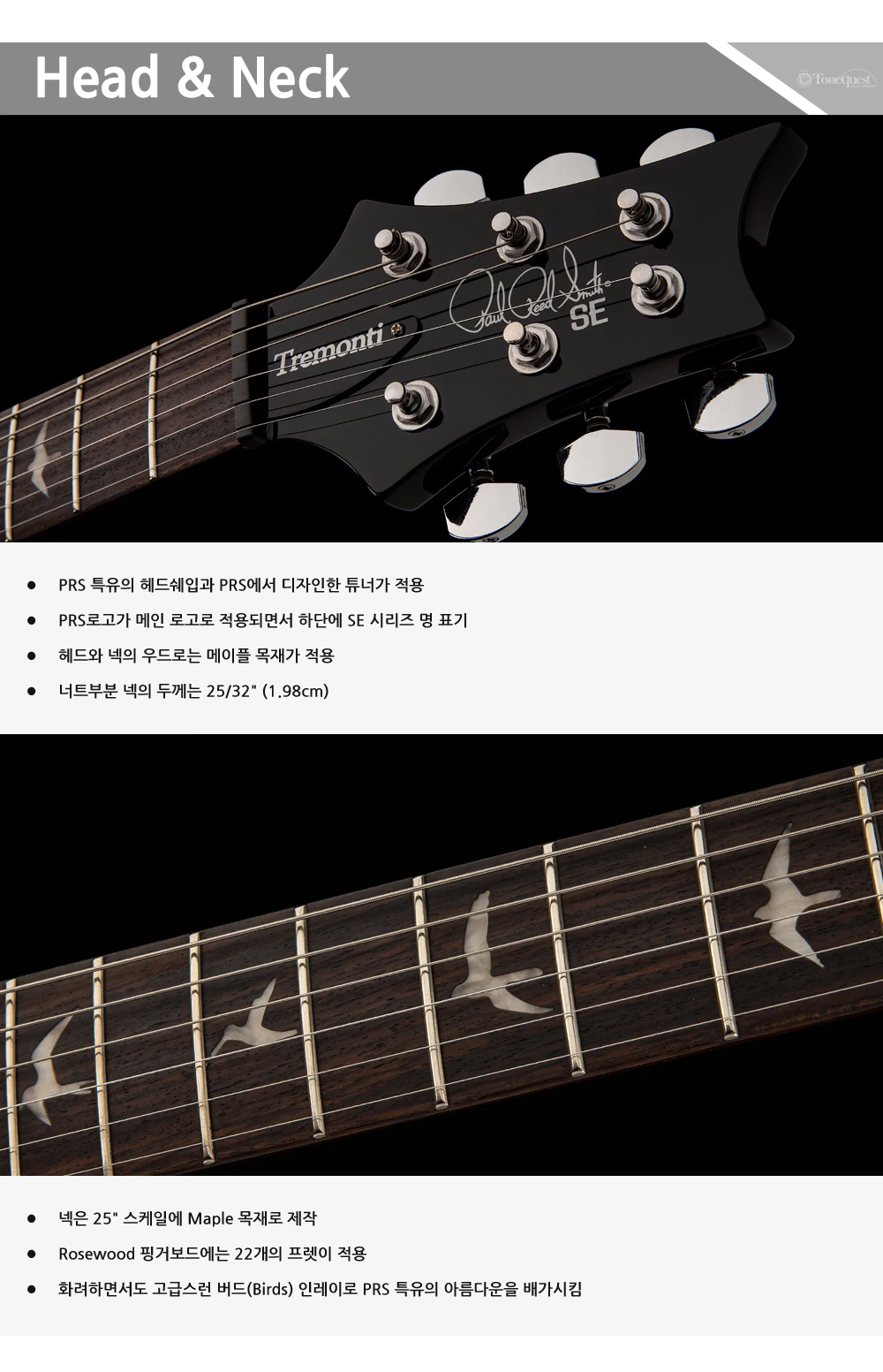 PRS2023-SE-Tremonti-CharcoalBurst_2.jpg