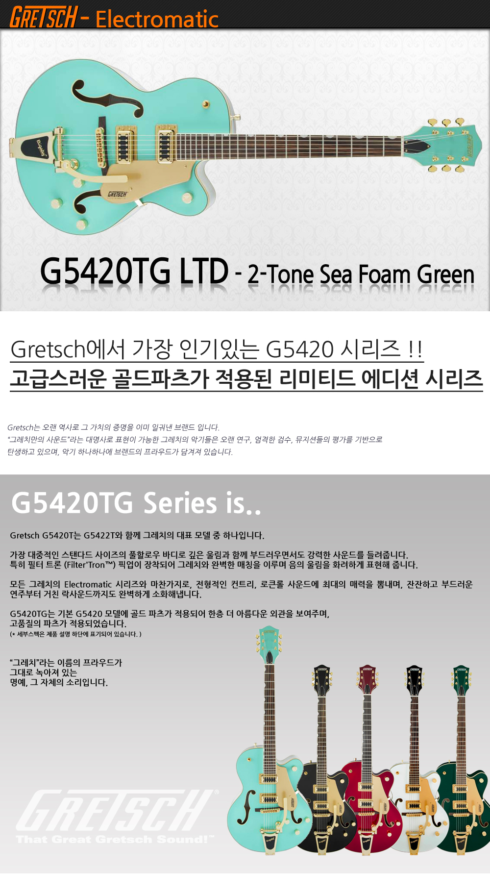 Gretsch-G5420TG-2TSFG_1.jpg