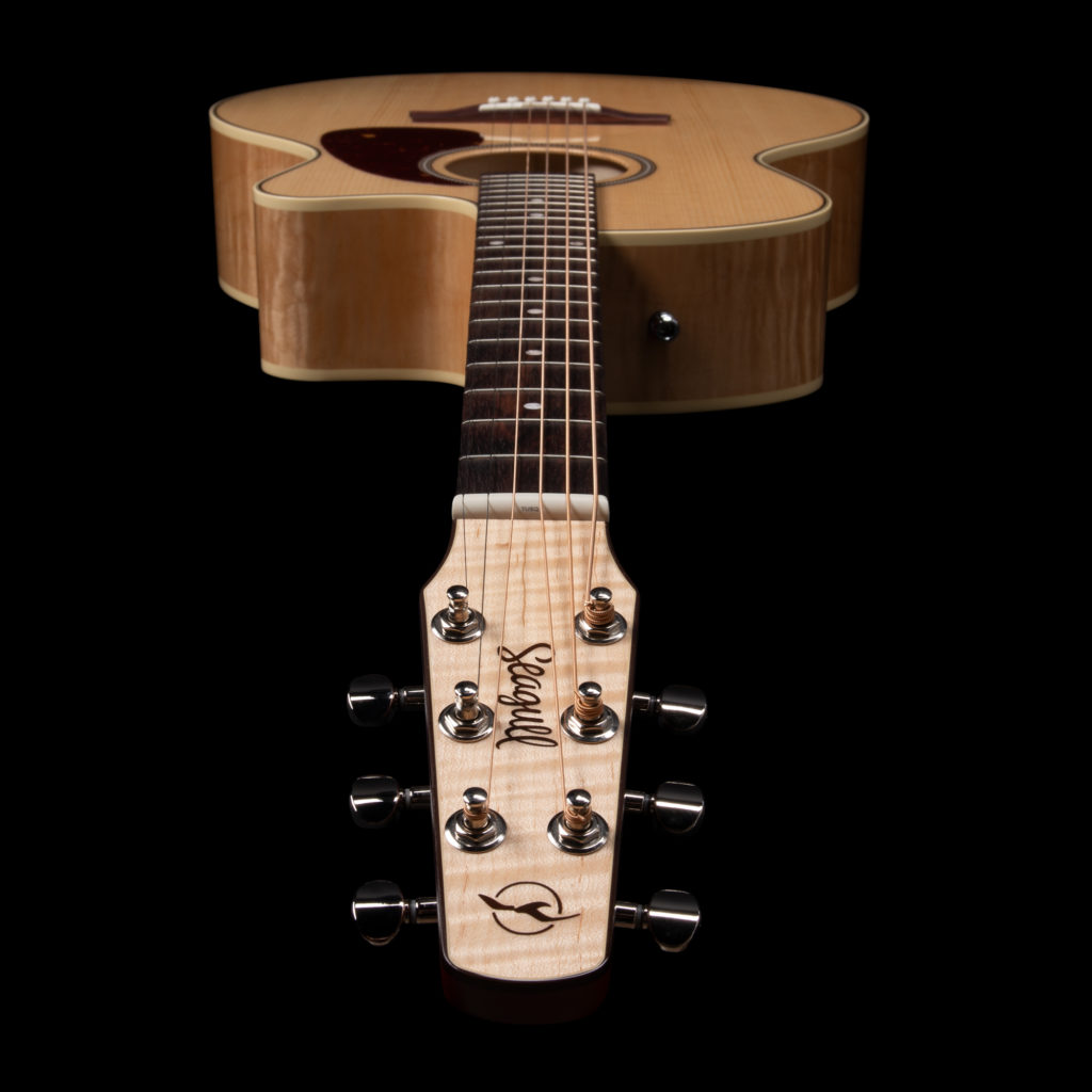 Seagull-051960-Performer-CW-Mini-Jumbo-HG-Presys-II_2.jpg