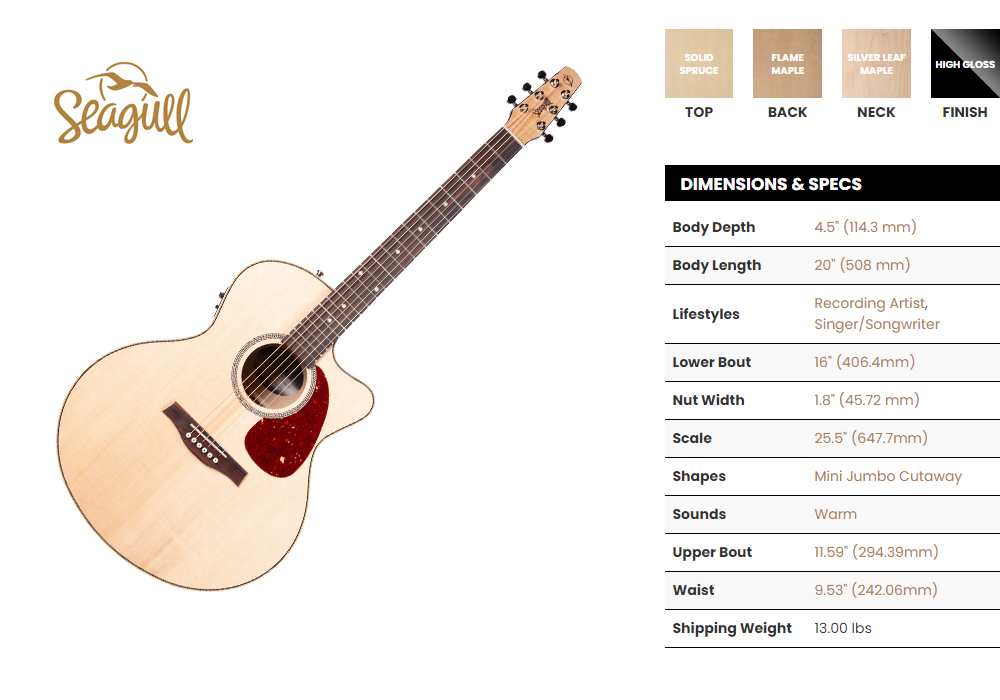 Seagull-051960-Performer-CW-Mini-Jumbo-HG-Presys-II_4.jpg