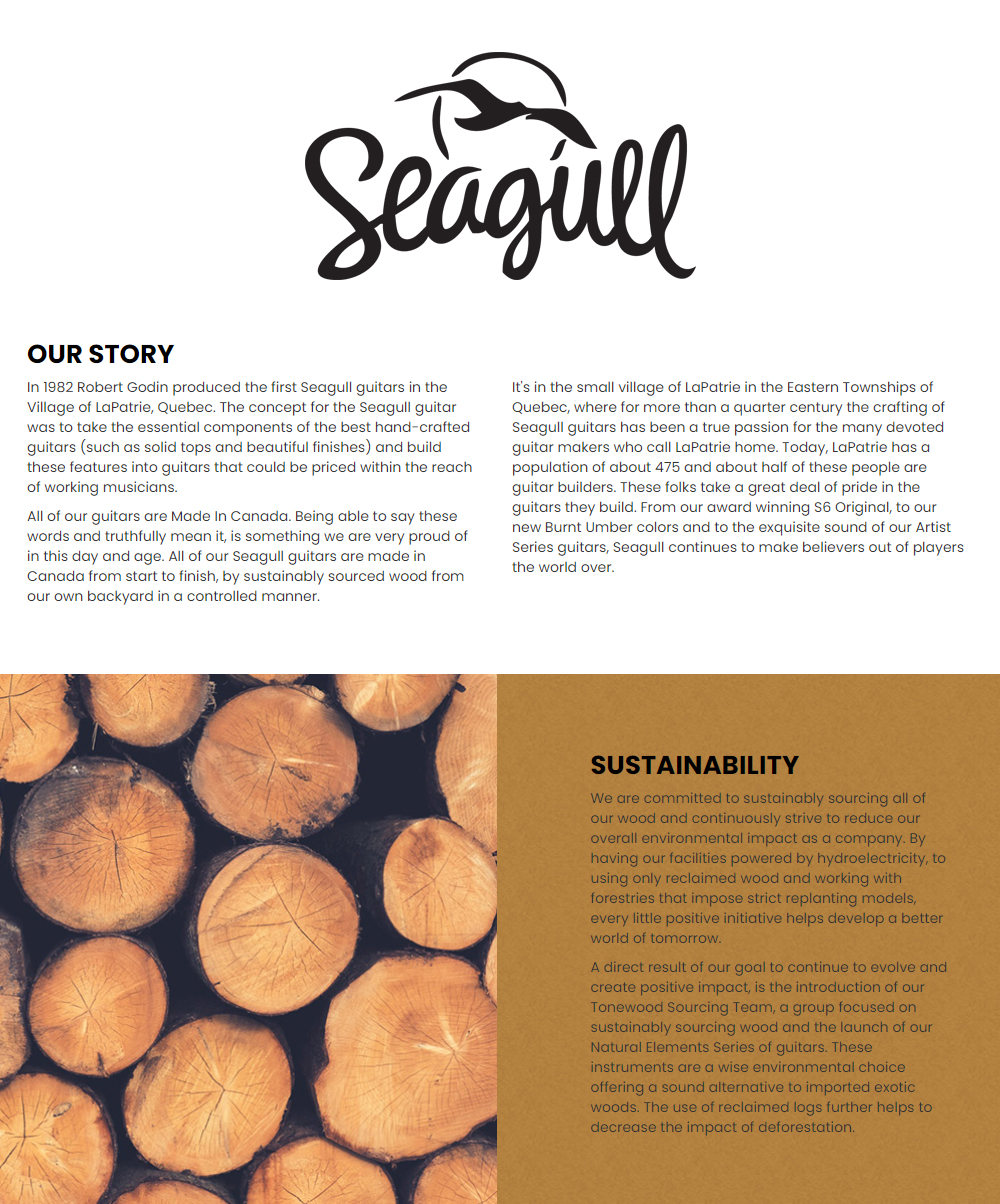 Seagull-History_0.jpg