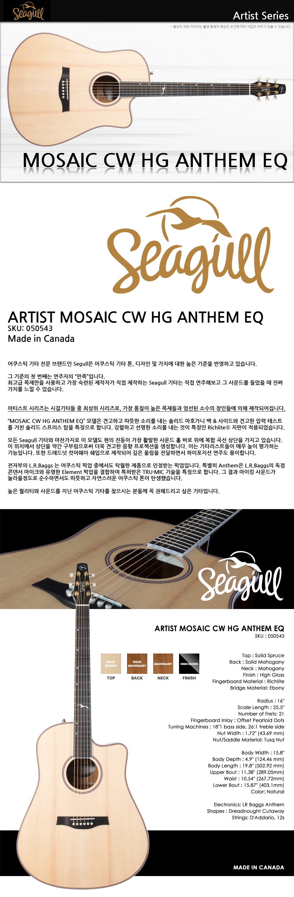Seagull-050543-Artist-Mosaic-CW-HG-Anthem-EQ_1.jpg