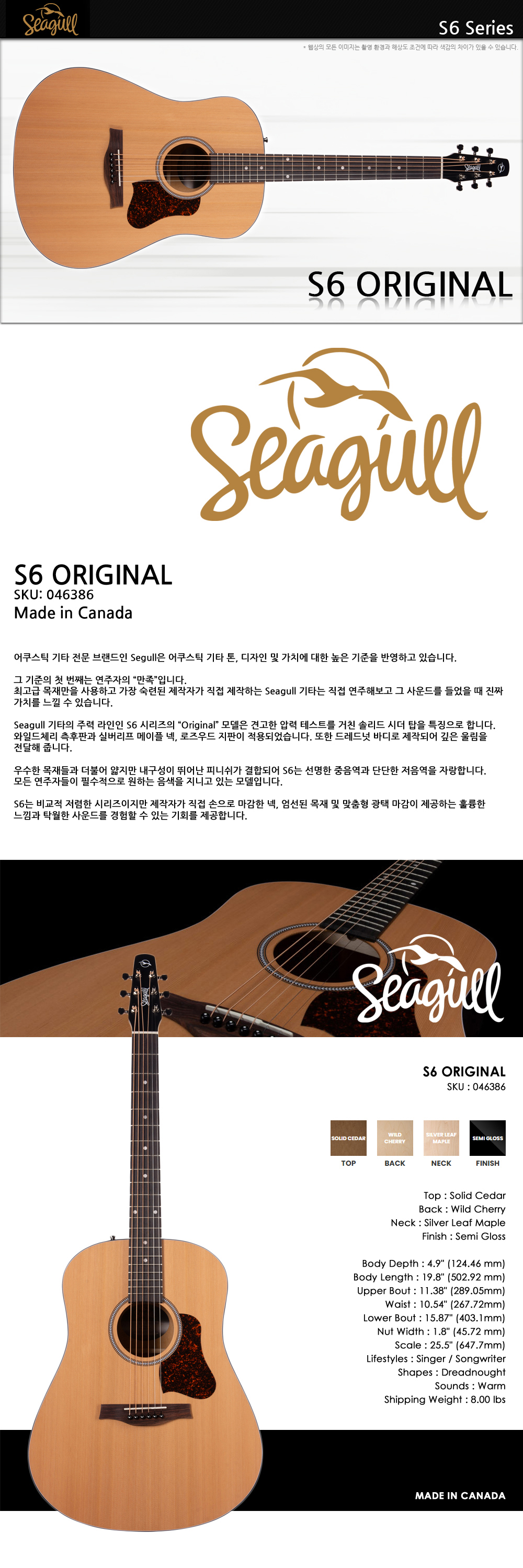 Seagull-046386-S6-Original_1.jpg