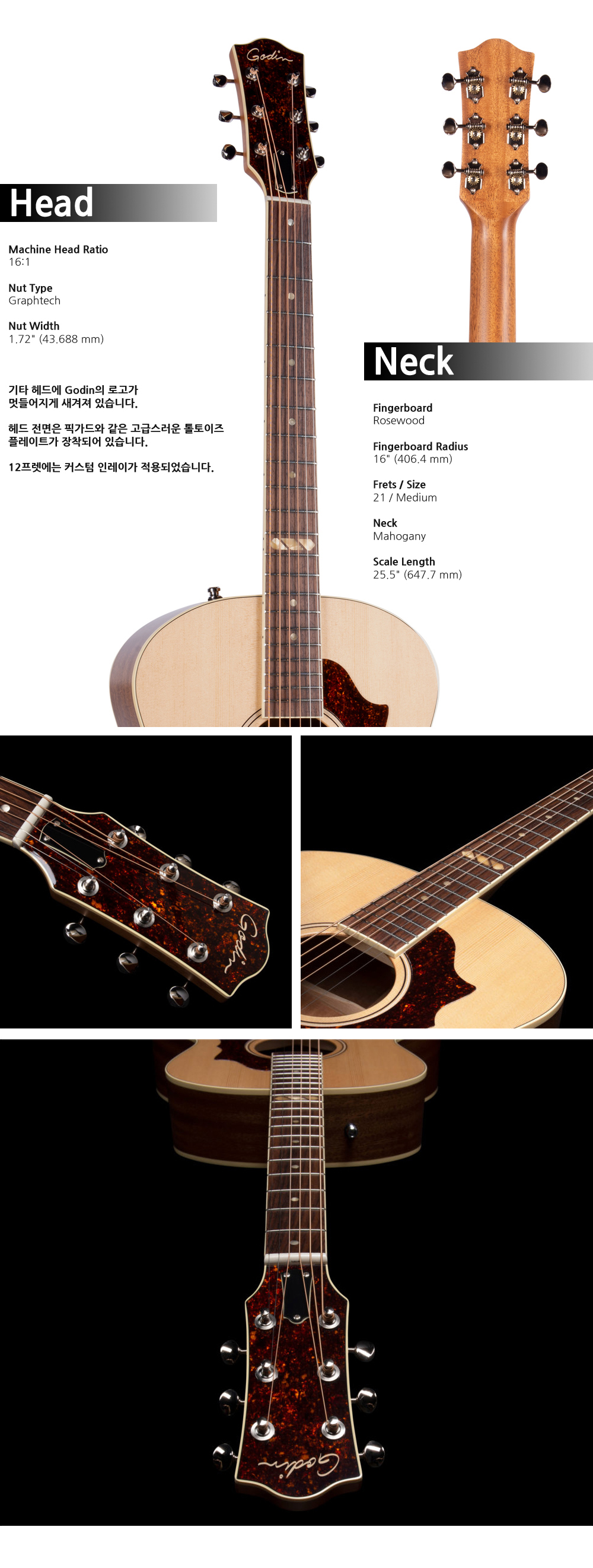 Godin-052110-Forum-Natural-RN-GT-EQ_2.jpg