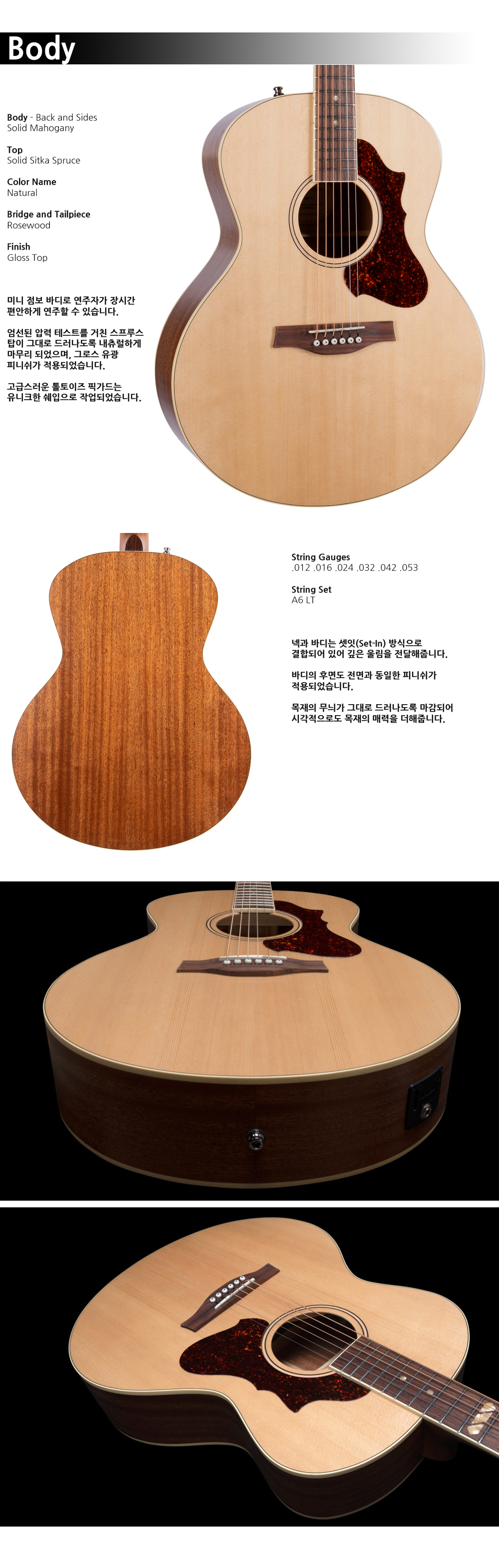 Godin-052110-Forum-Natural-RN-GT-EQ_3.jpg