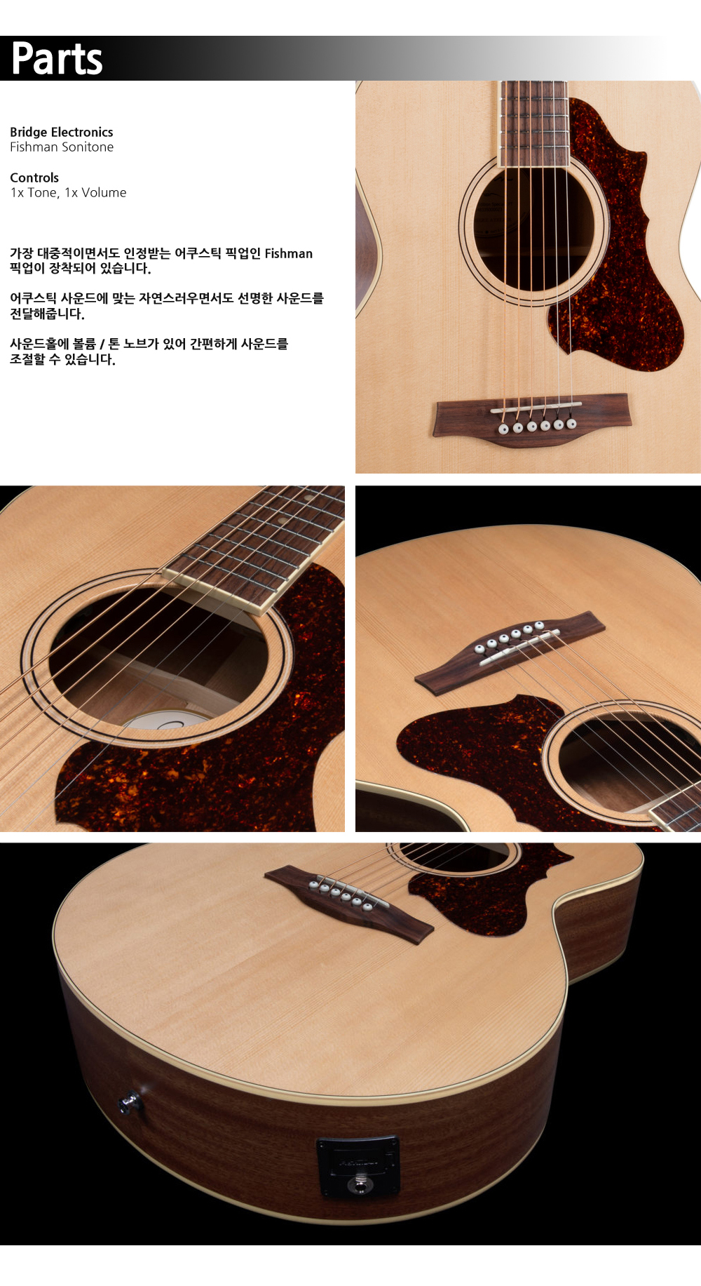 Godin-052110-Forum-Natural-RN-GT-EQ_4.jpg