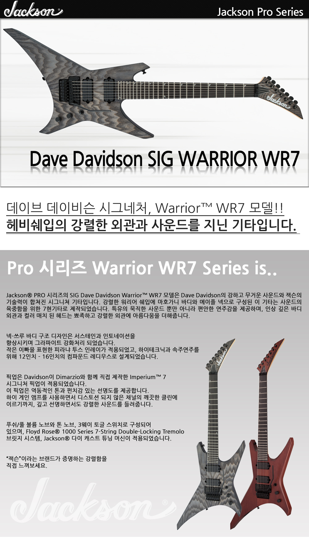 Jackson-Pro-SIG-DD-Warrior-WR7-DistressedAsh_1.jpg