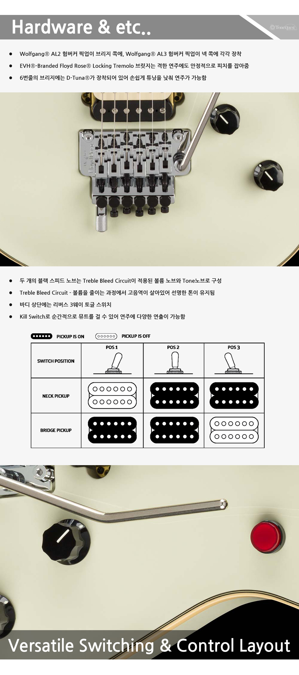EVH-MIJ-Wolfgang-Ivory_4.jpg