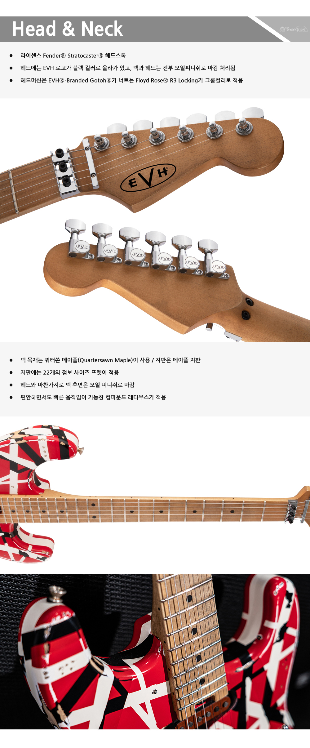 EVH-Stripe-Frankie_2.jpg