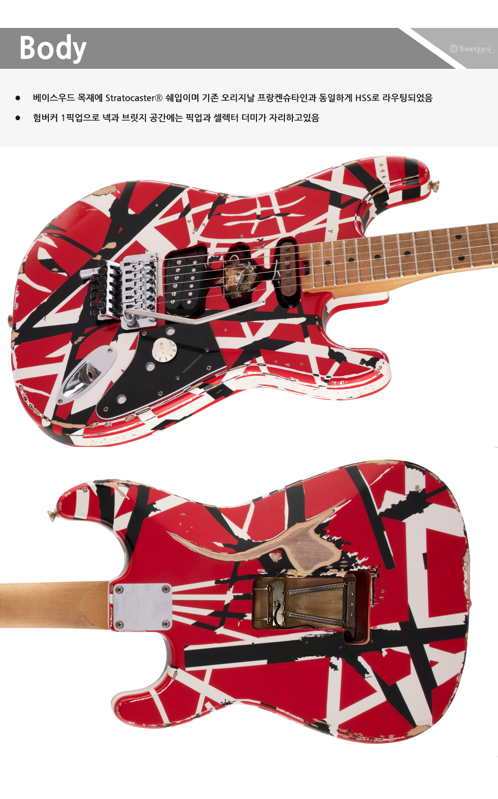 EVH-Stripe-Frankie_4.jpg