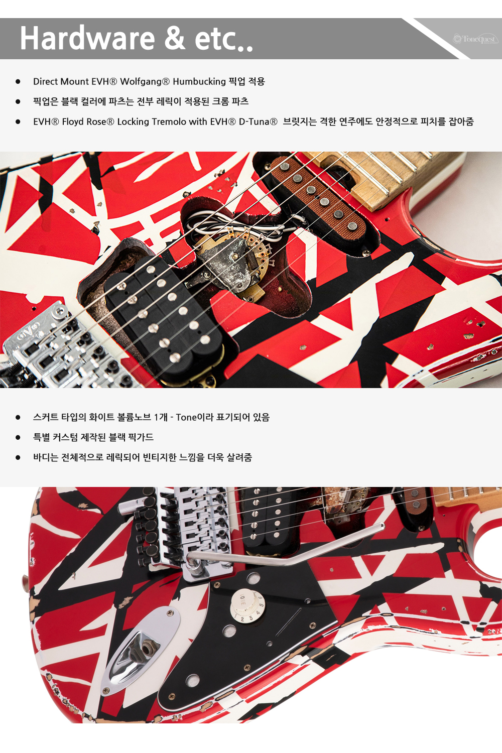 EVH-Stripe-Frankie_5.jpg