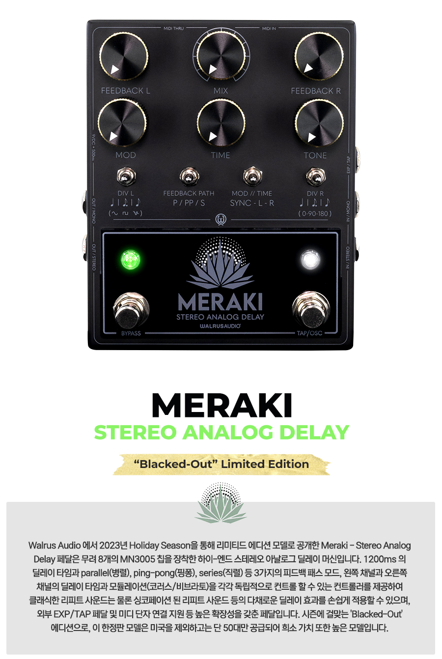 Meraki_02.jpg