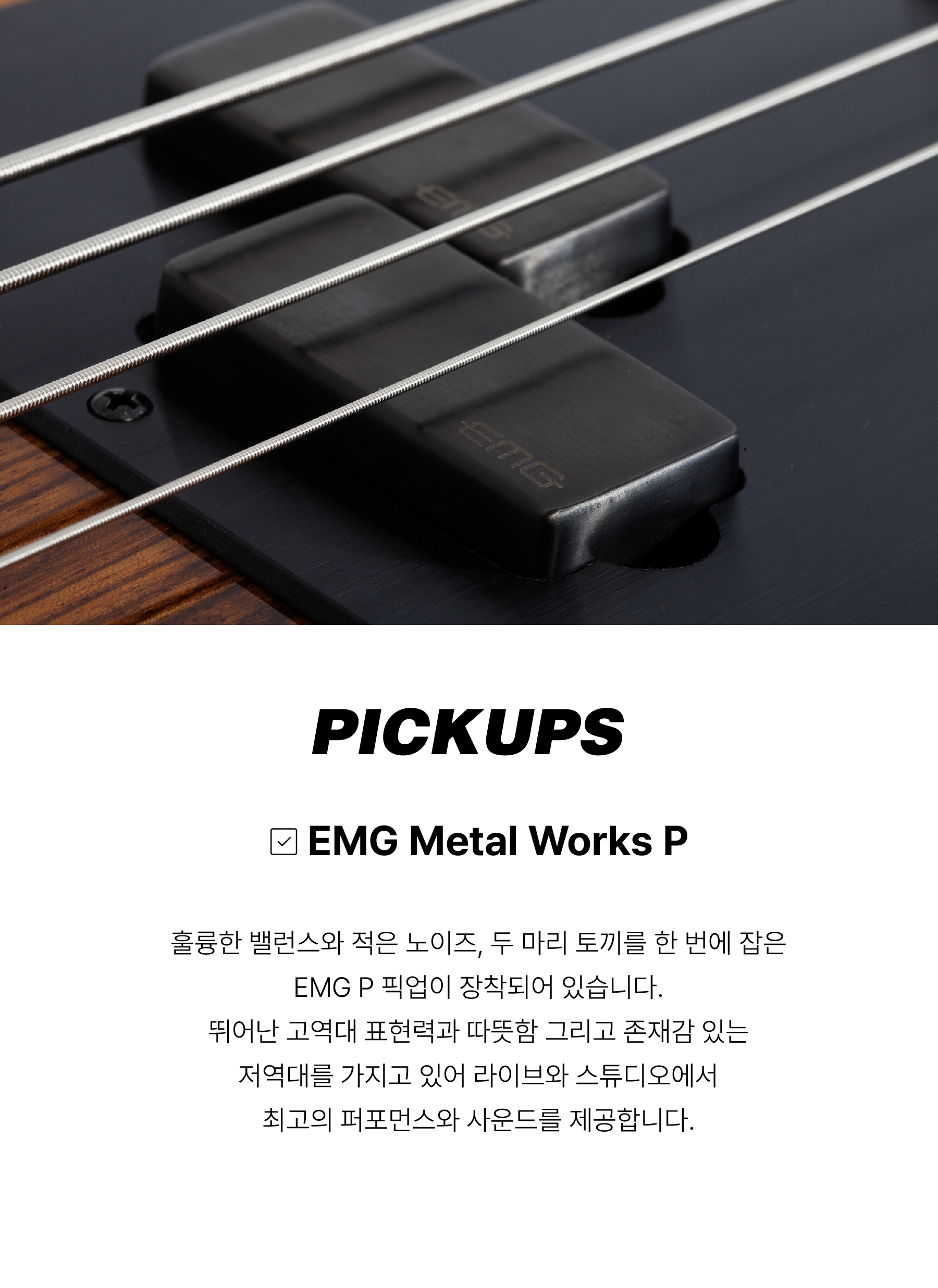 copy-1702473625-3.png