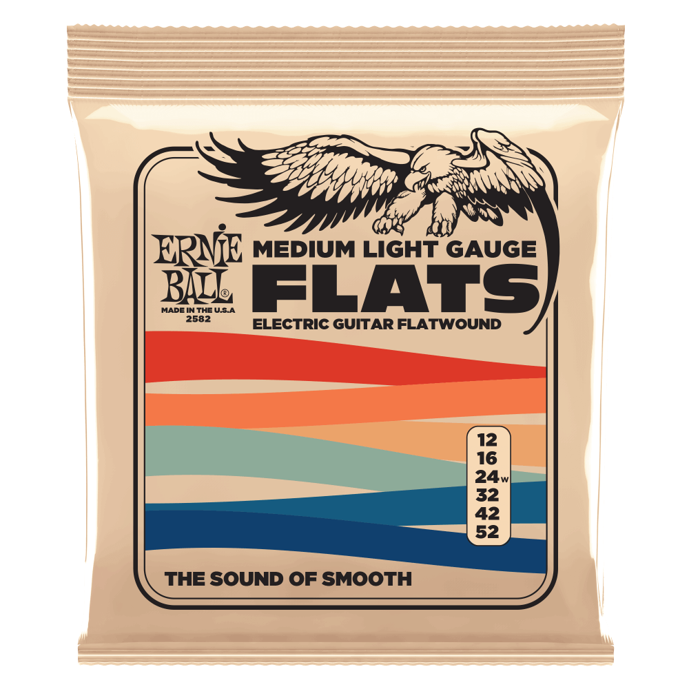 어니볼 Slinky Flatwound 앞면