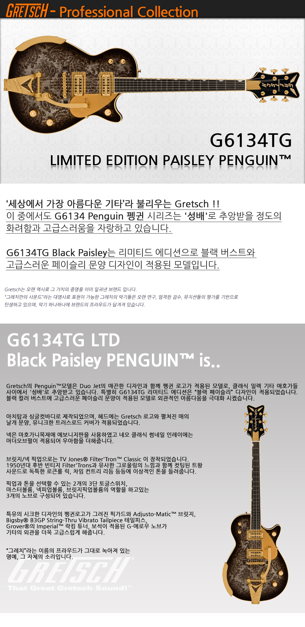 Gretsch-G6134TG-Paisley-Penguin-BlackPaisley_1.jpg