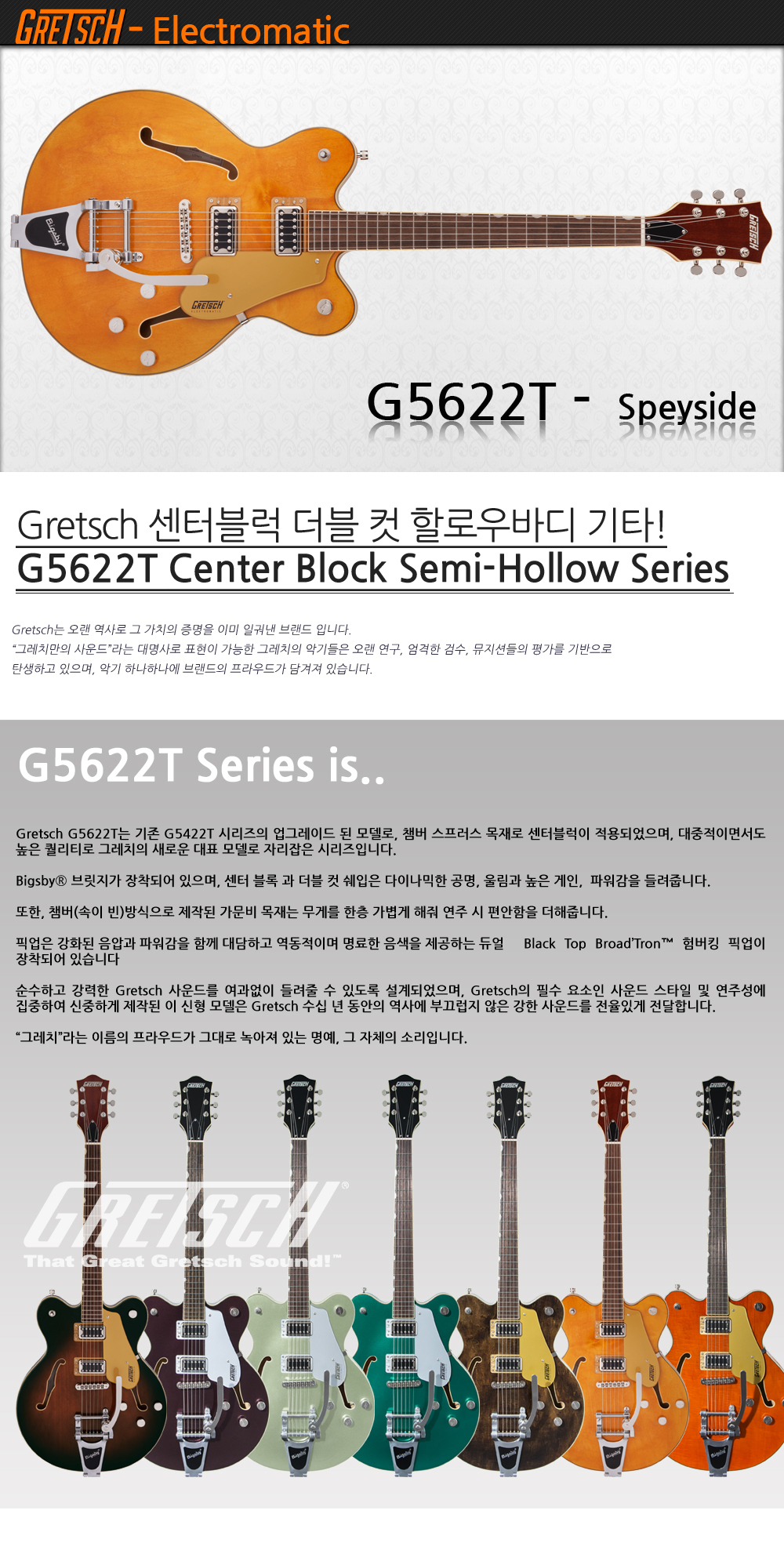 Gretsch-G5622T-Speyside_1.jpg