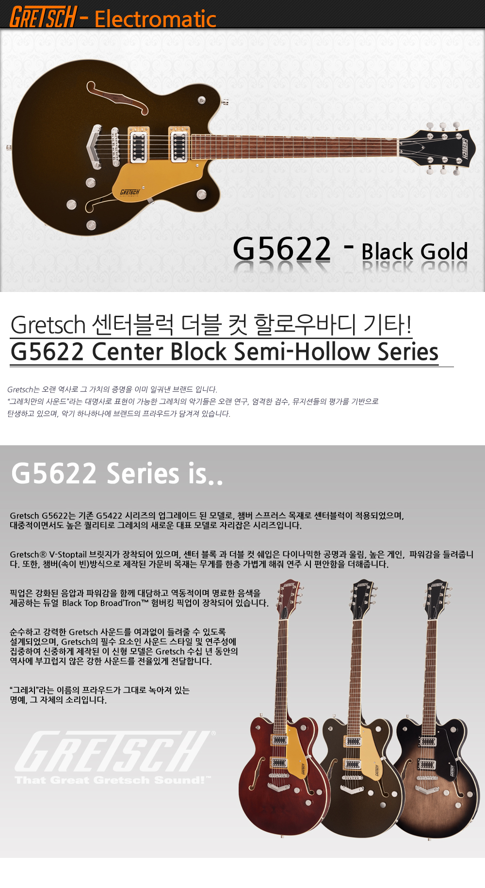 Gretsch-G5622-BlackGold_1.jpg