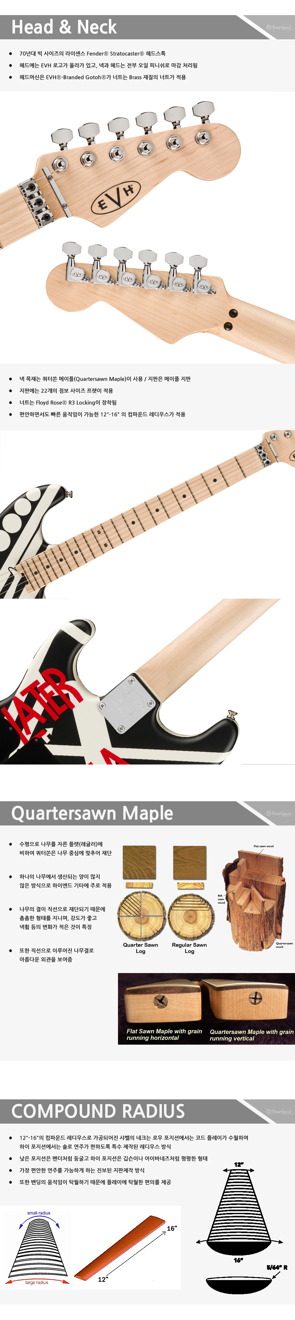 EVH-Stripe-Circles-WhiteBlack_2.jpg