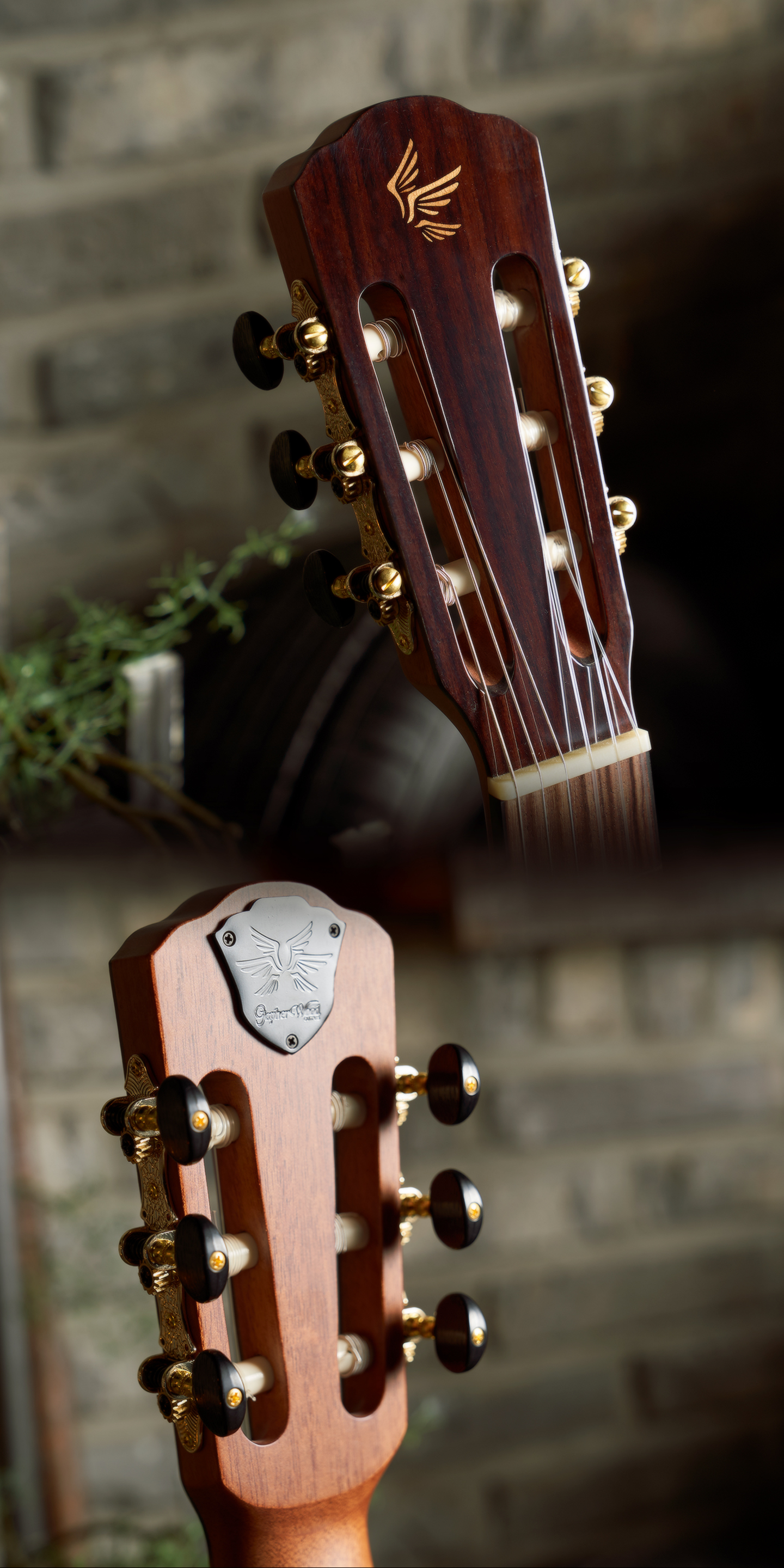 C600TCE_009.jpg