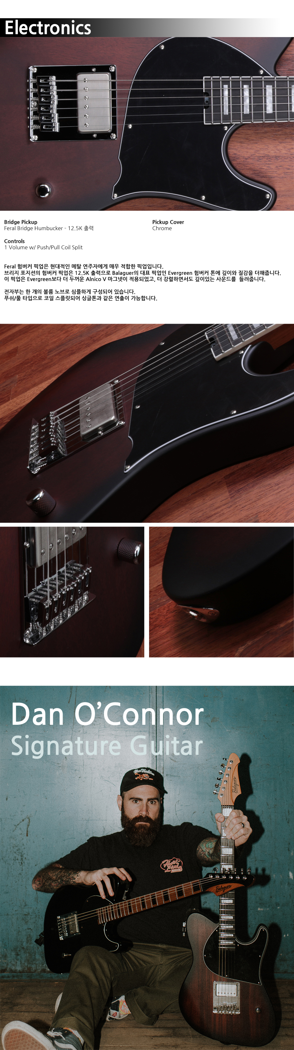 Balaguer-Thicket-FYS-DanOConnor-SIG-RusticBarnBurst_3.jpg